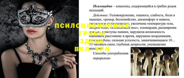 СК Алзамай