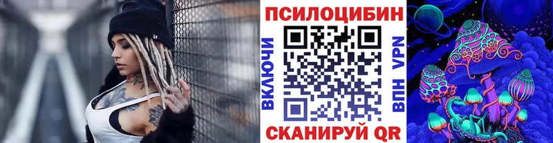 дарнет шоп  Новоалександровск  Галлюциногенные грибы мухоморы 
